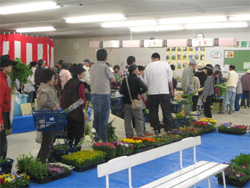 famas01.jpg